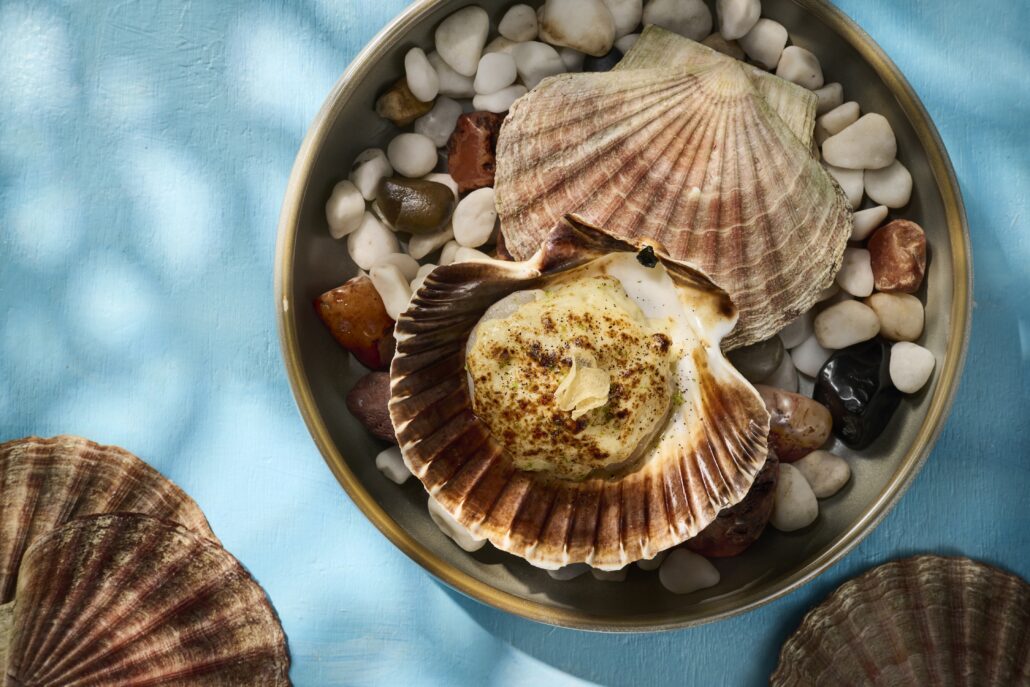 lamarbygastonacurio conchitaslamar