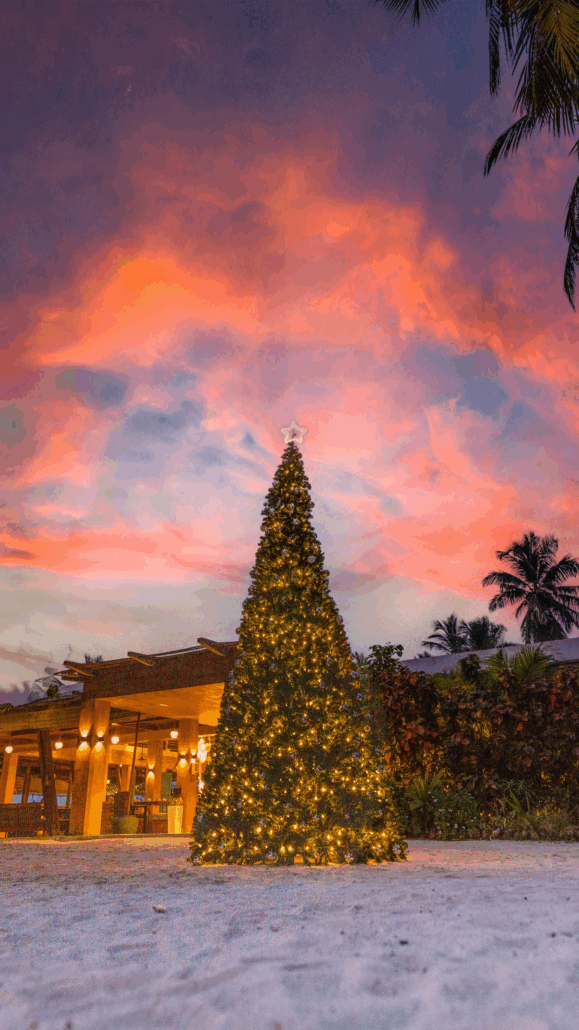 Sirru Fen Fushi Festive Programme 2025 Christmas Tree 1