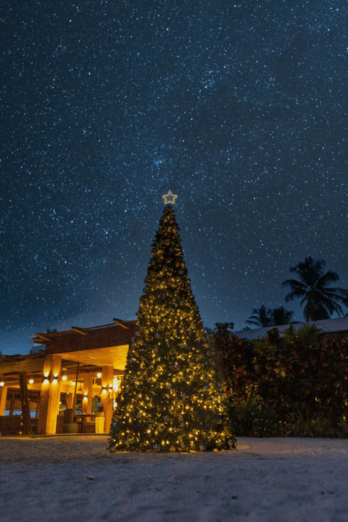 Sirru Fen Fushi Festive Programme 2025 Starry Tree