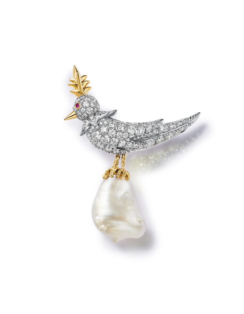 BlueBook 2026 76075263 BR v1 ml