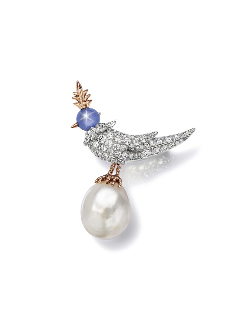 BlueBook 2026 76142971 BR v1 FPO 04E