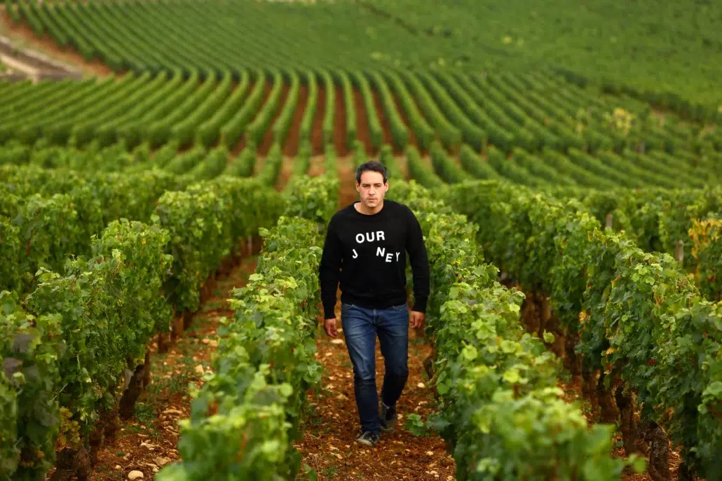 Romaric Chavy Vineyard