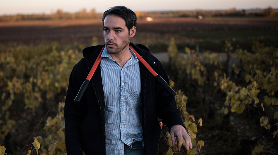Romaric Chavy Vineyard 2