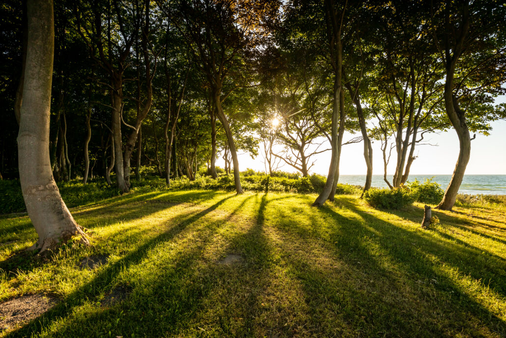 Weissenhaus Private Nature Luxury Resort WaldamMeer ©Rene Supper