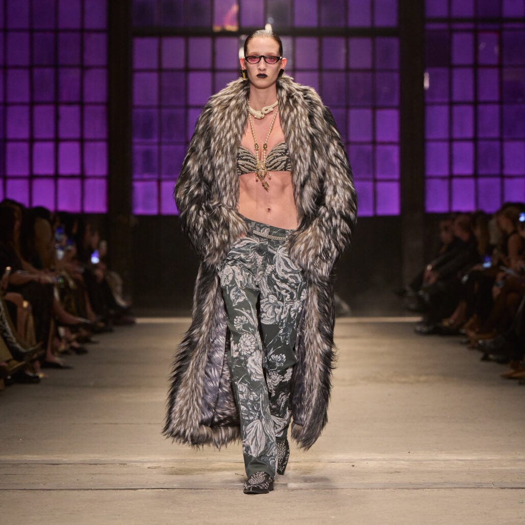 Cavalli front 1X1 022