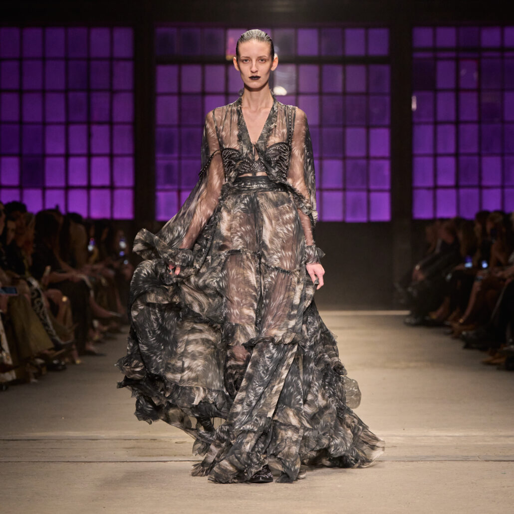 Cavalli front 1X1 023