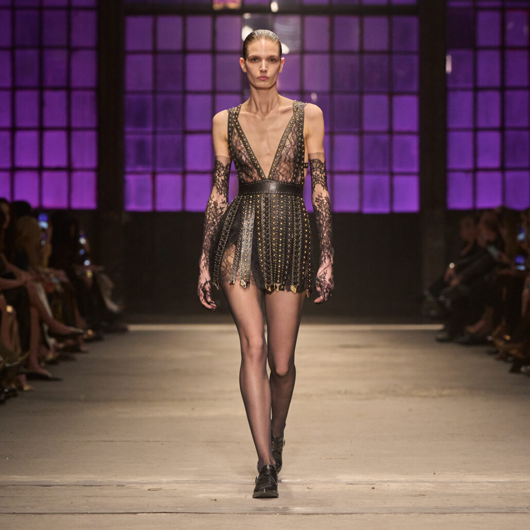 Cavalli front 1X1 029