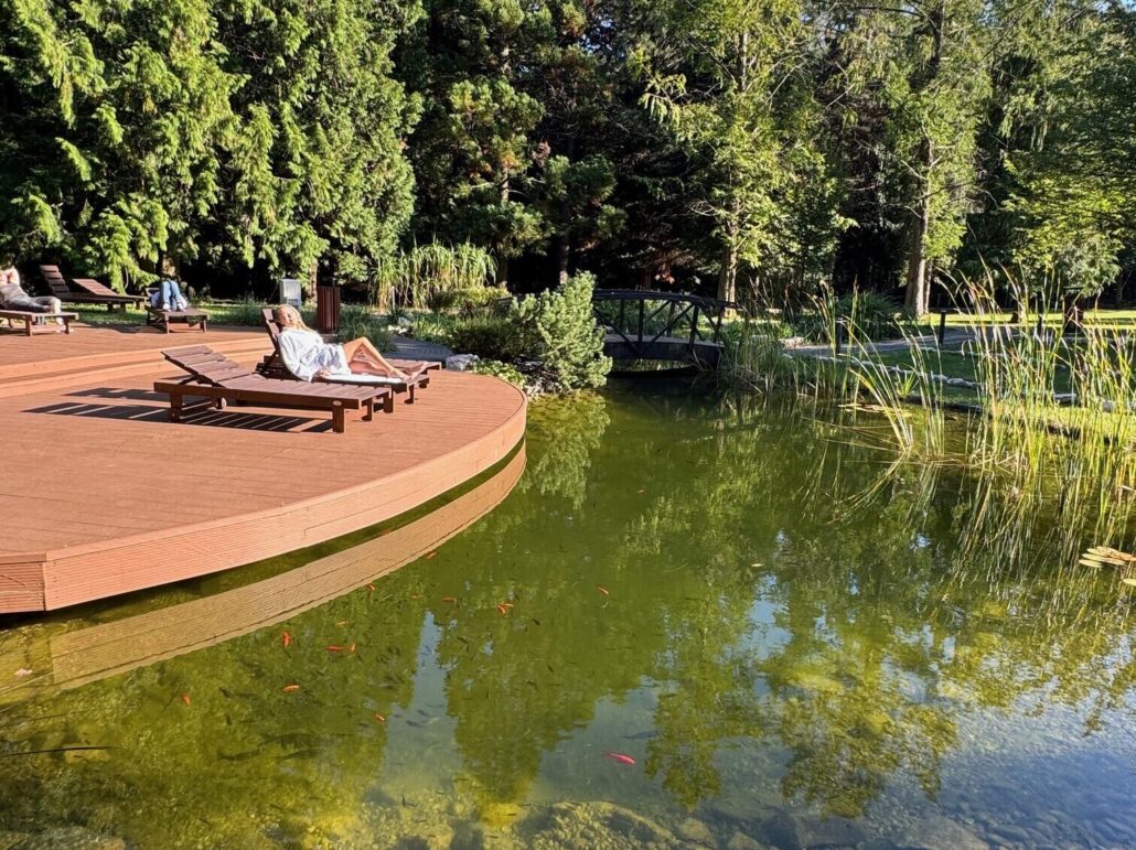 IMG 0493 rotated e1727176000789