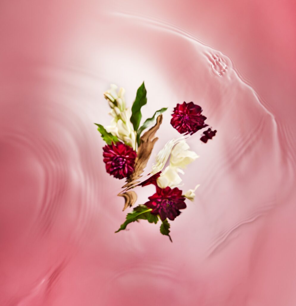 04 BDM DR INGREDIENTS SRGB300