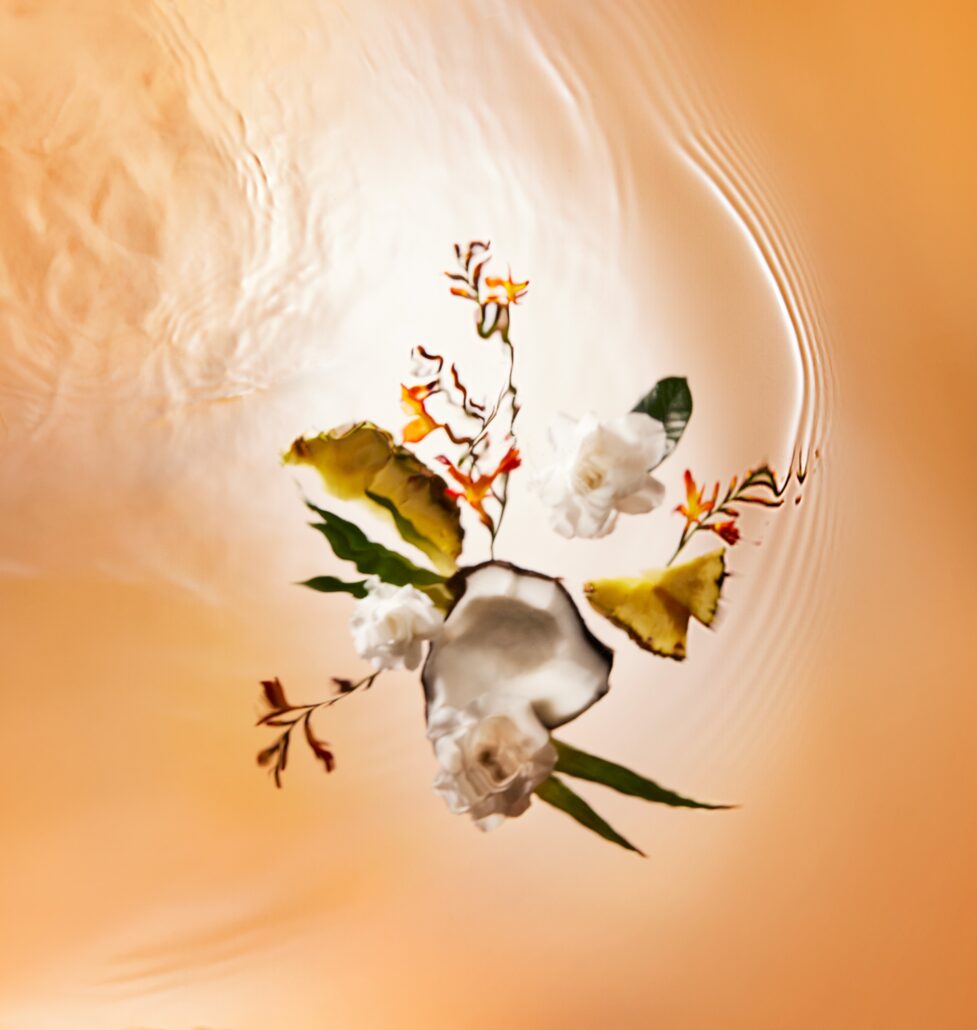06 BDM ADP INGREDIENTS SRGB300