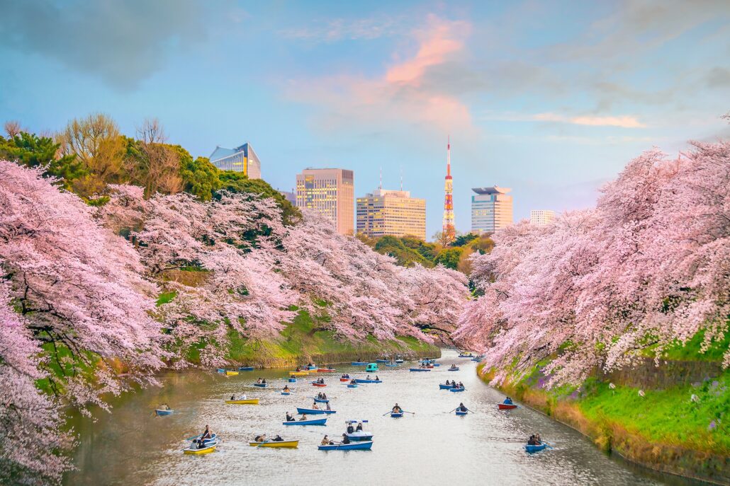 AdobeStock 191050381