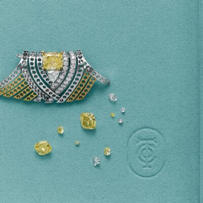 Tiffany & Co. und die Wunder der Natur
