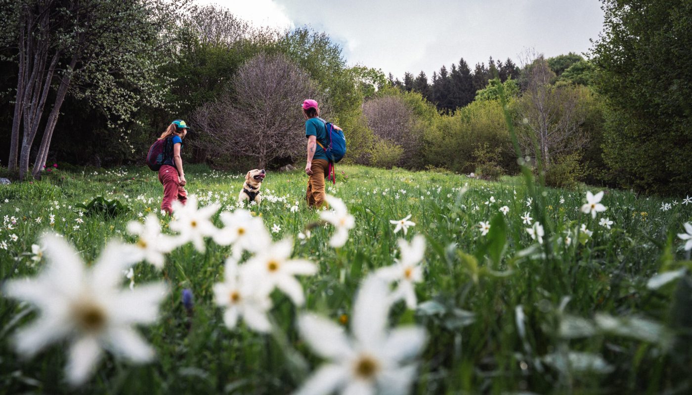 2024_APTGARDADOLOMITI_ph_DUBINI_Trekking_Fioritura_Dromae_5