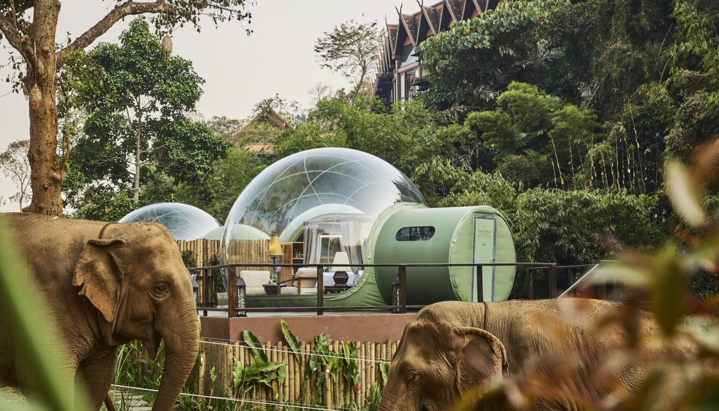Anantara_Golden_Triangle_Elephant_Camp_And_Resort_Guest_Room_Jungle_Bubbles_Elephants_1