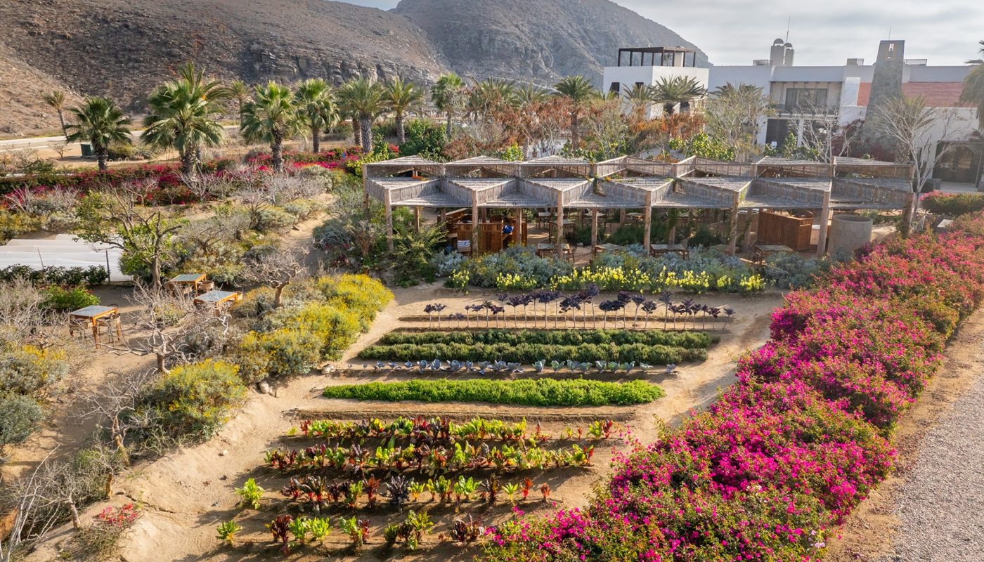 Los Cabos_116