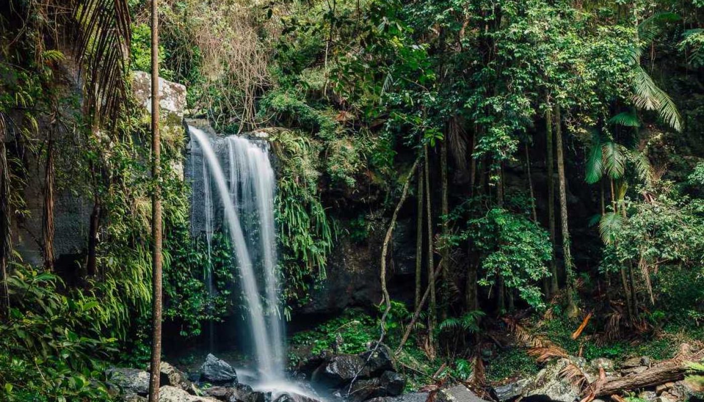 Curtis Falls