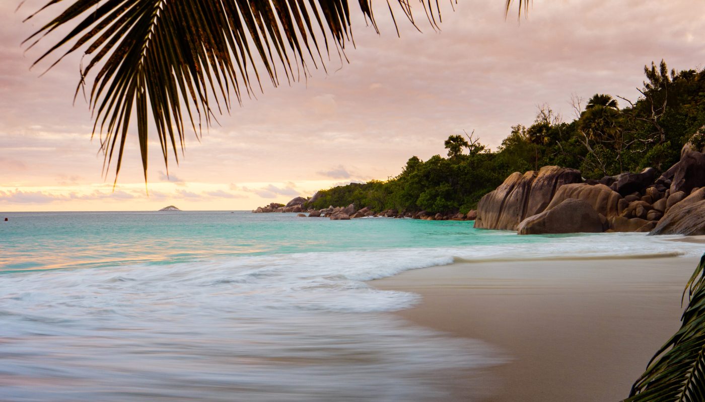 Raffles_Seychelles_Aerial_Beach_Palm