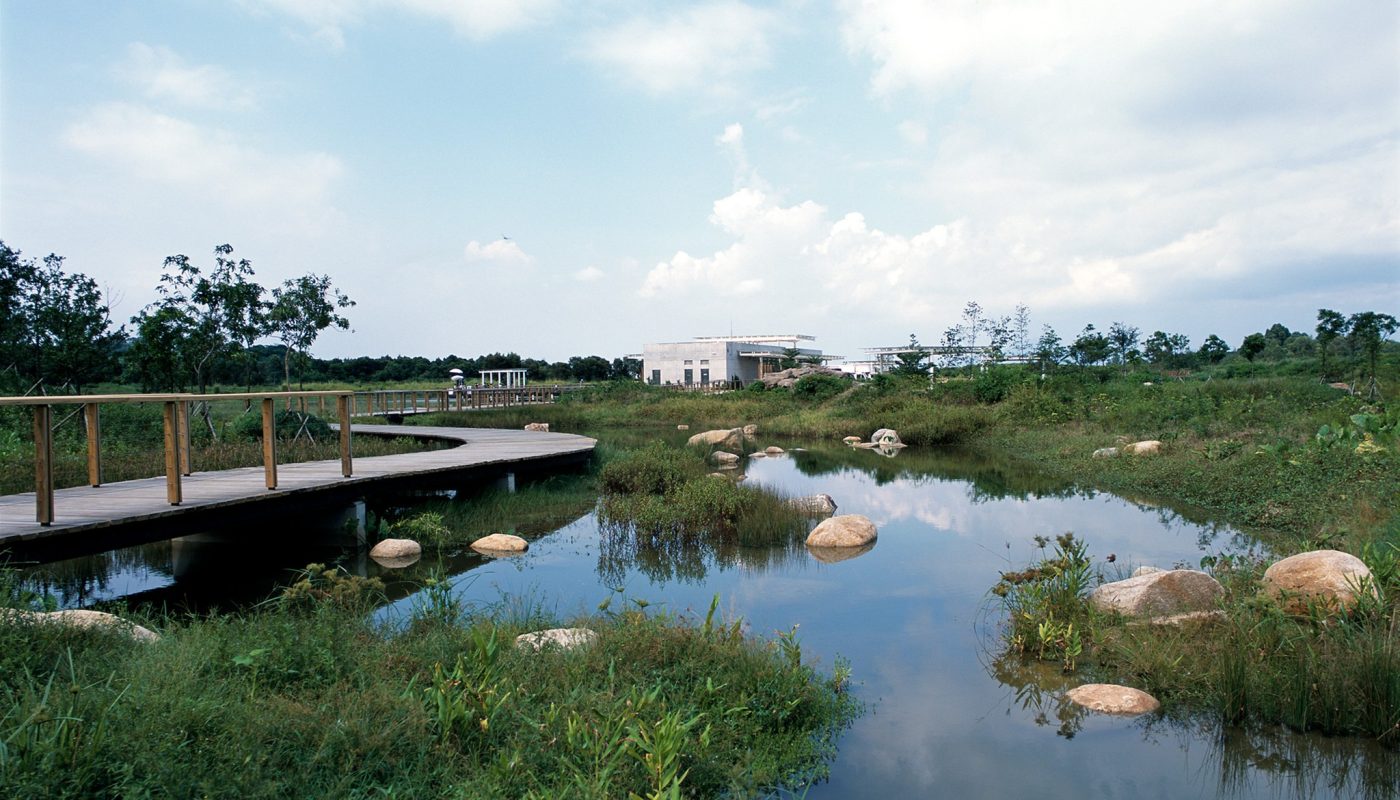 hongkong_green_wetland hongkong_green_wetland
