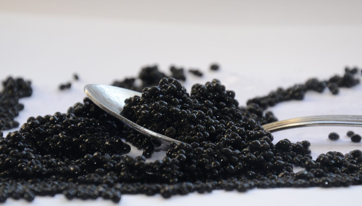 black-caviar-2315835_1920